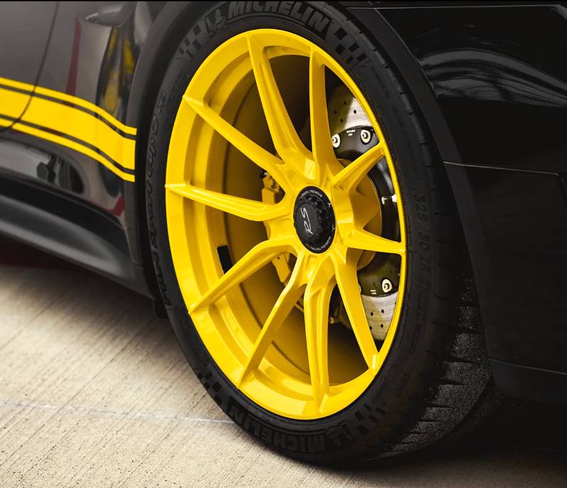 RIMS Painting