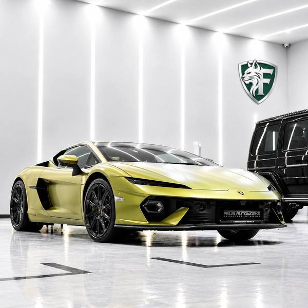 STEK DYNOSHIELD Paint Protection Film