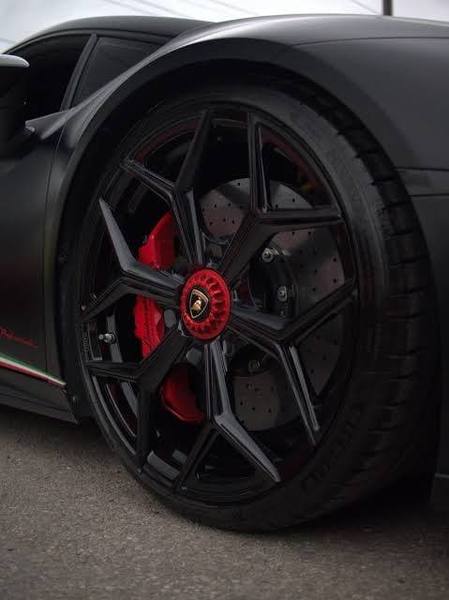 All Caliper Brake Paint
