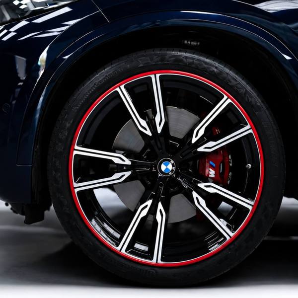 AlloyGator Wheel Protection