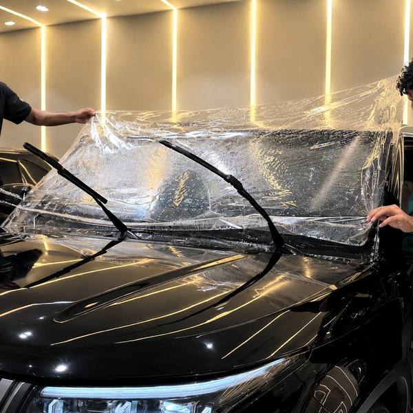 WINDSHEILD Protection